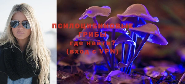 твердый Балахна
